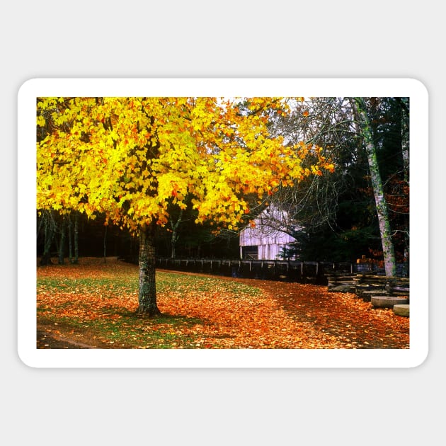 Autumn at Old Mill in Cades Cove Sticker by Rodwilliams